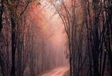 九游体育-阿尔希拉尔防守细节优化，力求稳固后防