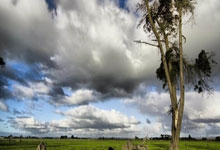 九游游戏-东瀛武士的远征：J联赛血脉如何铸就蓝武士世界杯荣光