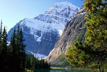 九游体育APP下载-鹿岛鹿角备战细节频出，球队积极调整状态