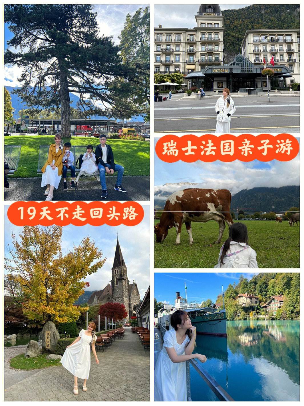 9you娱乐-瑞士与法国队的比赛将上演精彩一幕的简单介绍