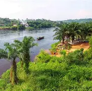 关于刚果队喜迎世界杯新胜，豪取三分的信息