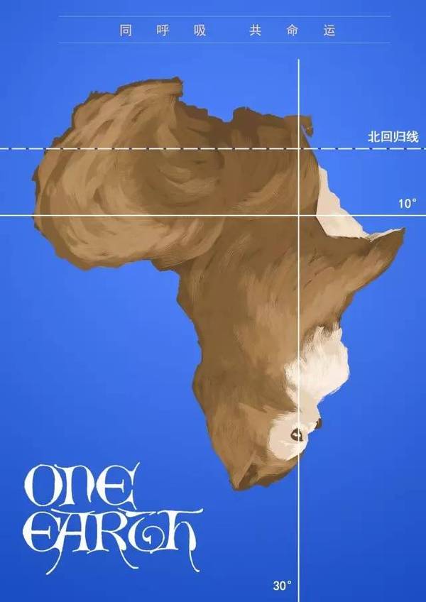 澳洲球队实力横跨大洋，斩获一方佳绩