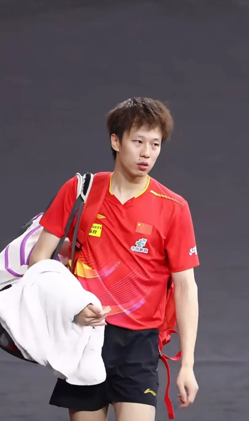 奥地利乒乓球队完胜中国乒乓球队，王皓高光表现的简单介绍