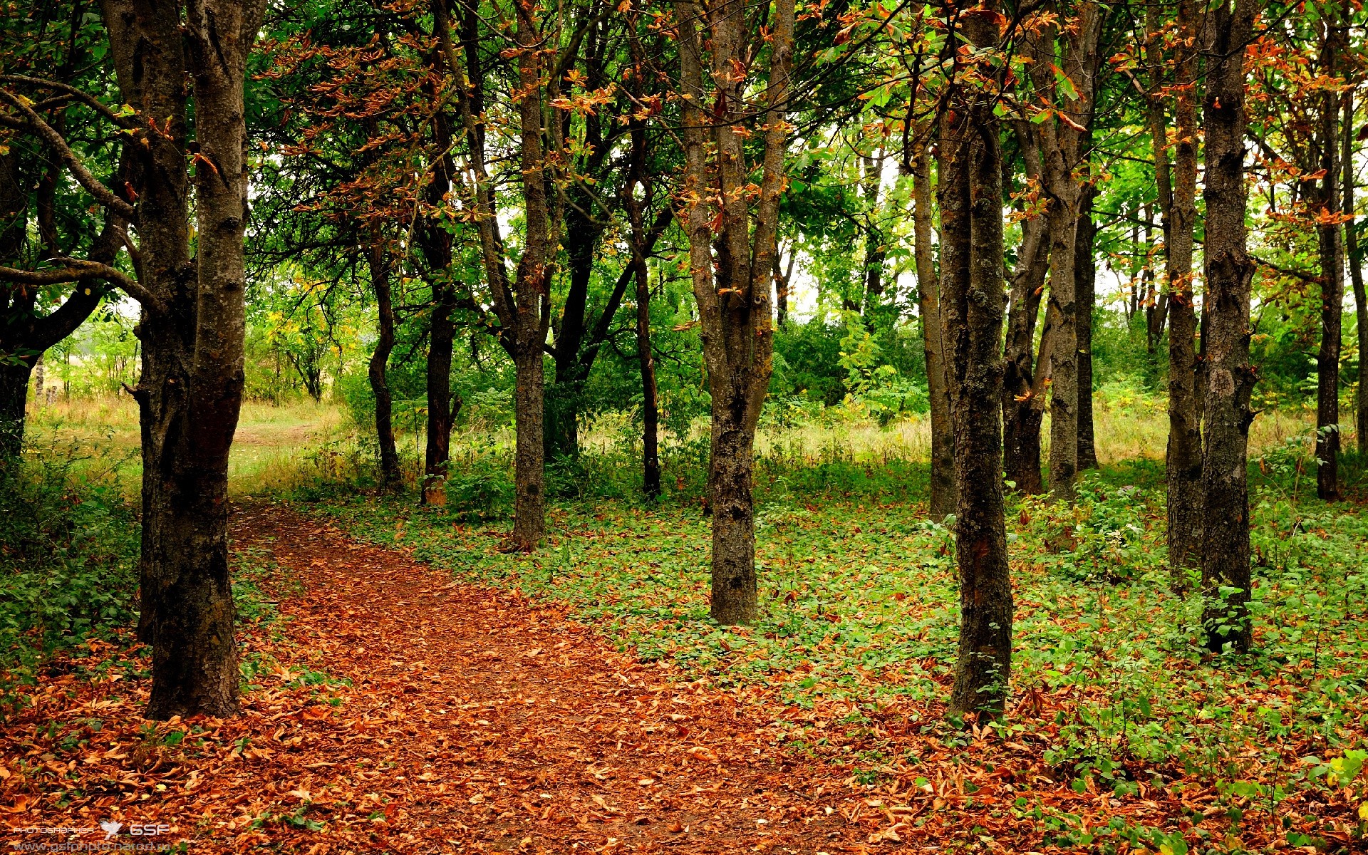 九游娱乐入口-当武切维奇在长城上投出那记绝杀时，奇才的防线已分崩离析