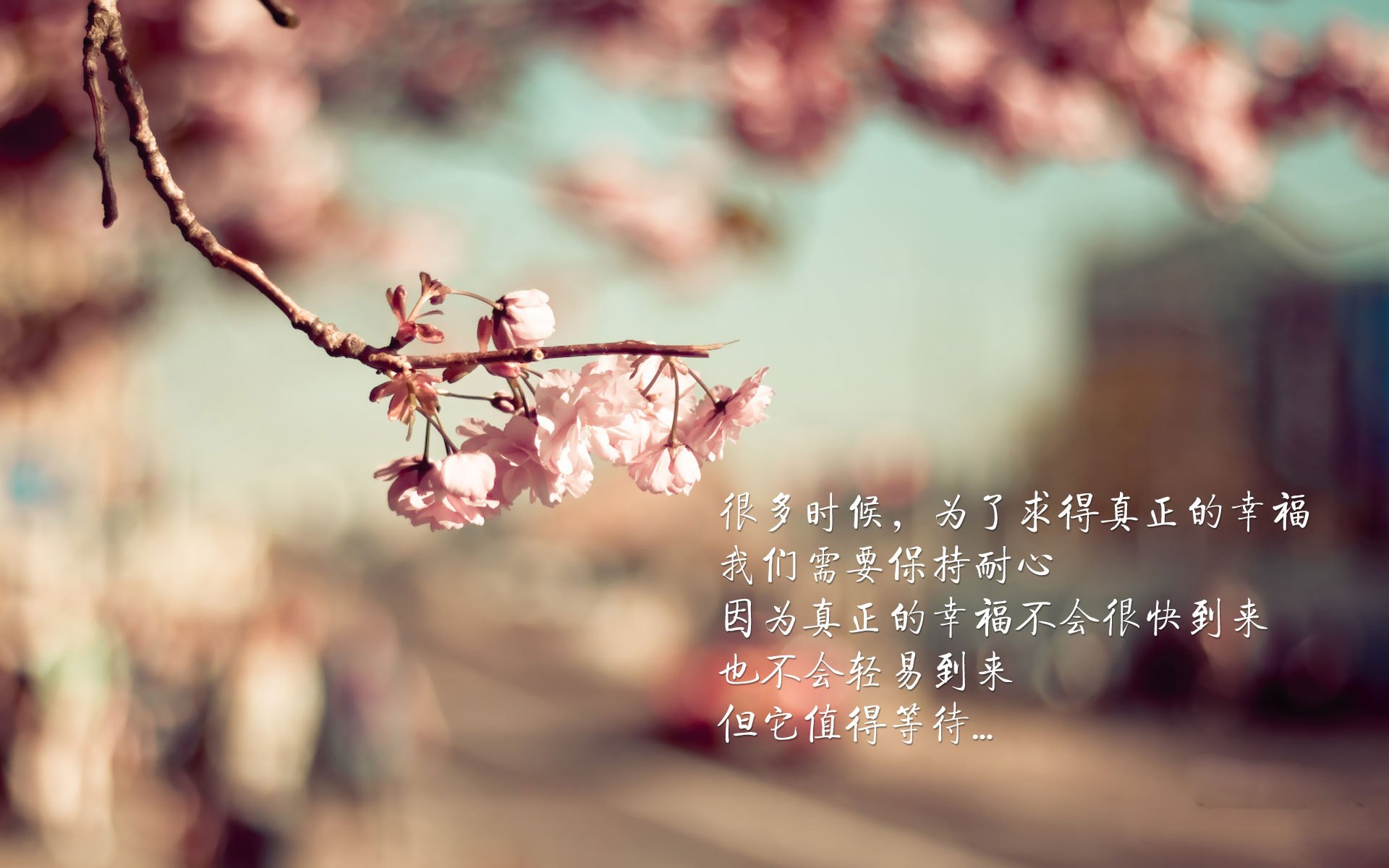 猛龙客场撕破防线,爱德华兹末节封神