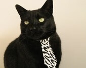 数据风暴席卷东方,贝恩全面爆炸率篮网力擒浙江