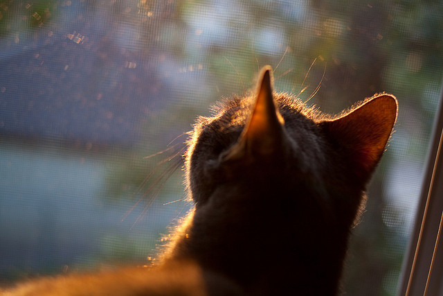 芬兰全面压制中国,卡瓦哈尔轰出统治级数据