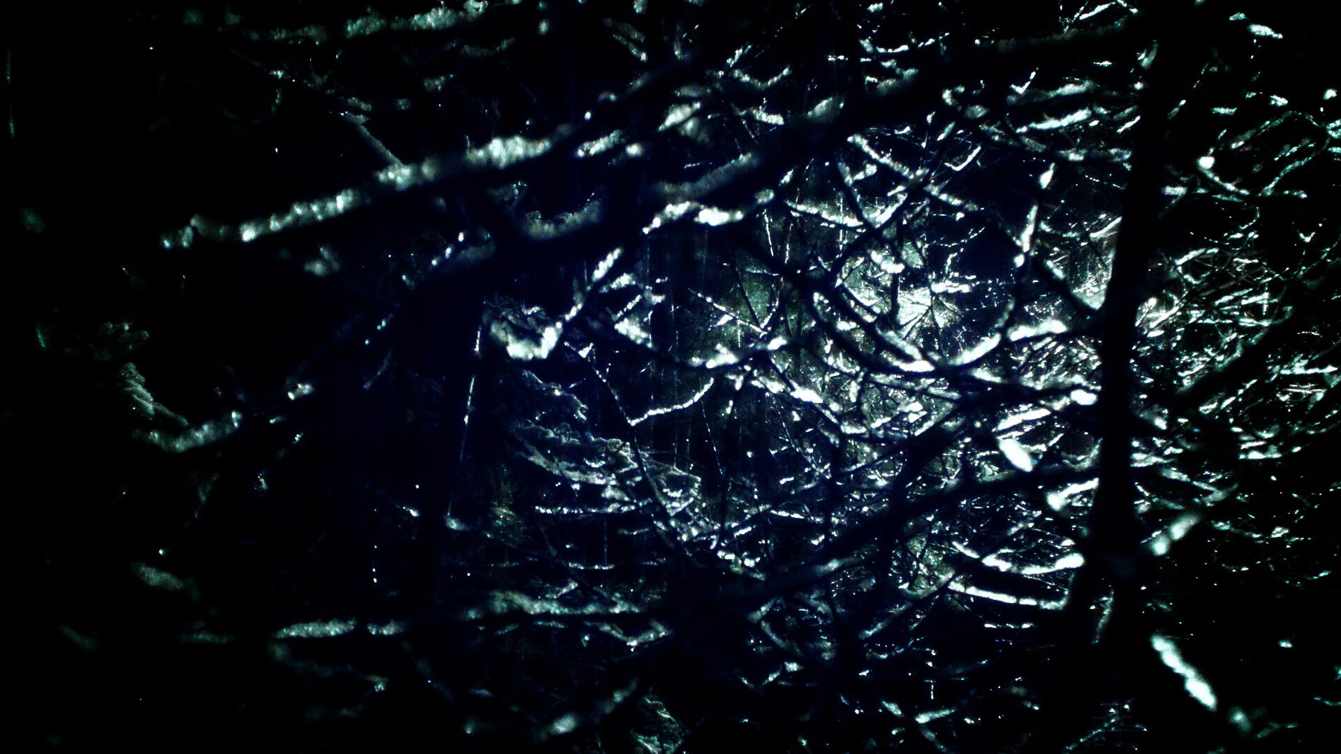 抢七之夜的独舞，杰森·塔图姆如何用攻防一体主宰命运