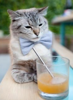 九游中国-沉默杀手的致命交响曲，西亚卡姆用连斩奏响世界排名争夺战夜曲