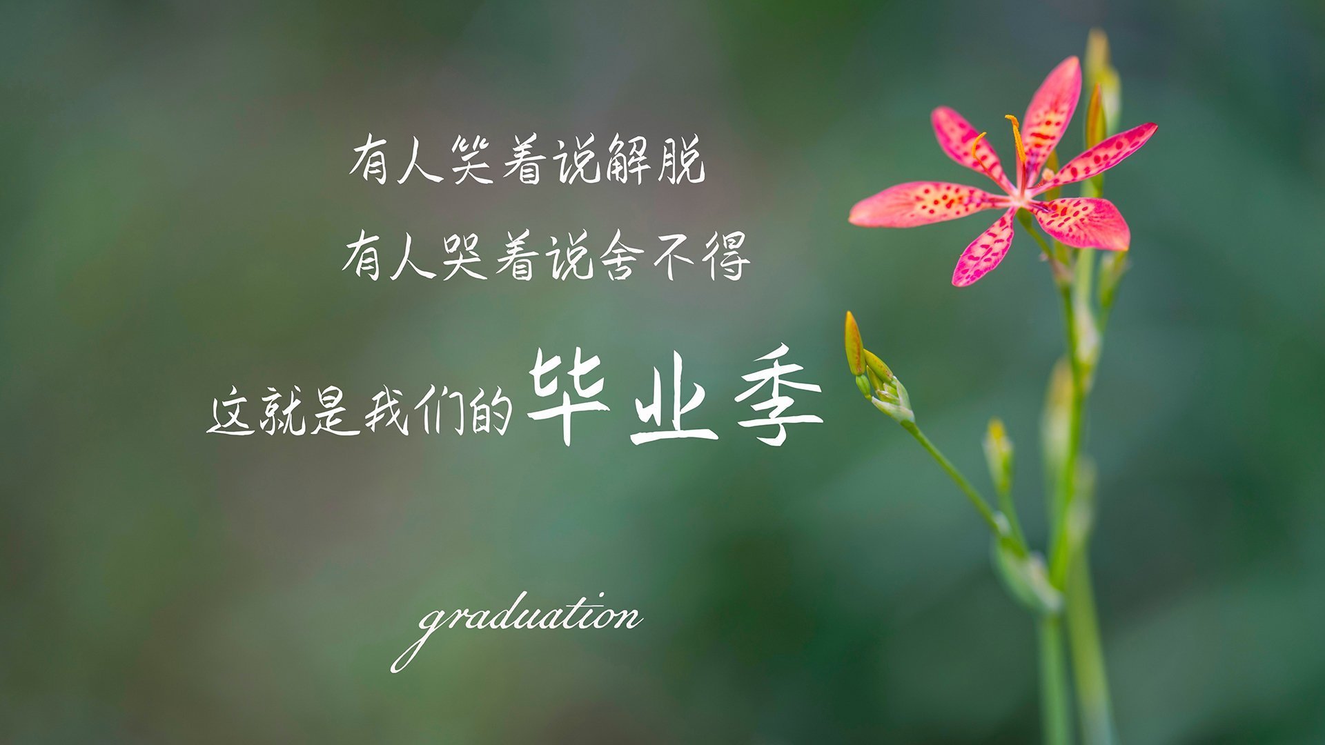 楚阿梅尼个人能力完全展现，切尔西碾压马里获大胜