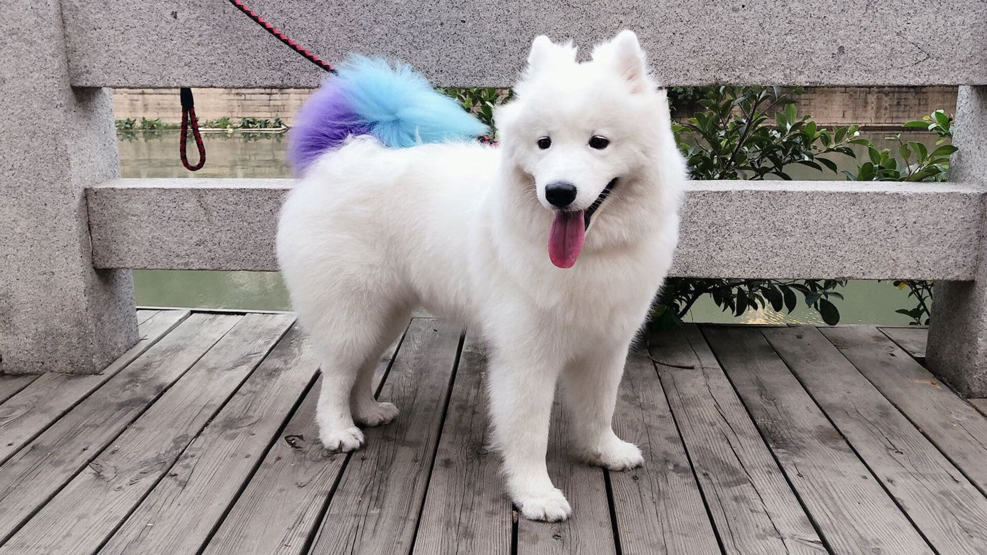 防守绞索与天神降临，新疆锁死吉林，伦纳德打出生涯之夜