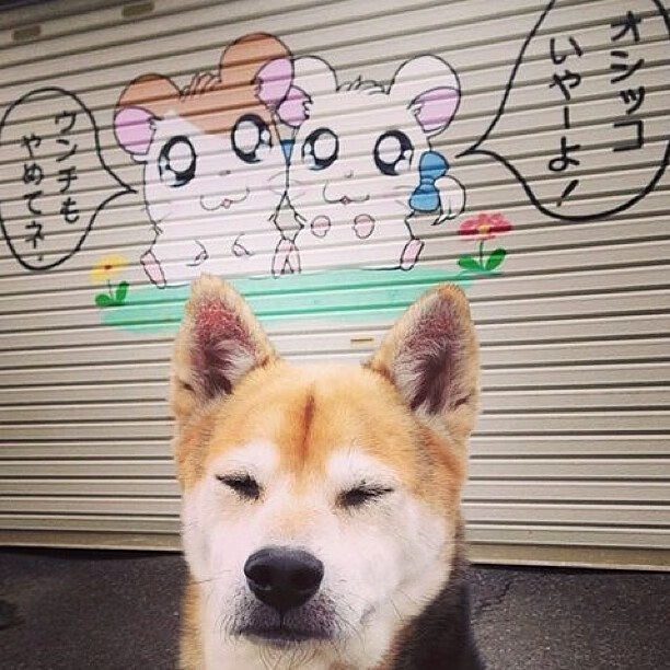 赛道与绿茵的共振,当沙特打穿贝蒂斯成为F1式的战术交响