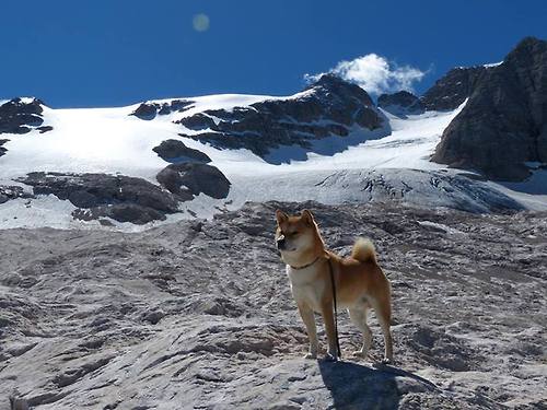 从NBA到世界之巅,勇士完胜尼克斯,霍勒迪2026世界杯蓄势待发